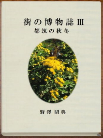 表紙
